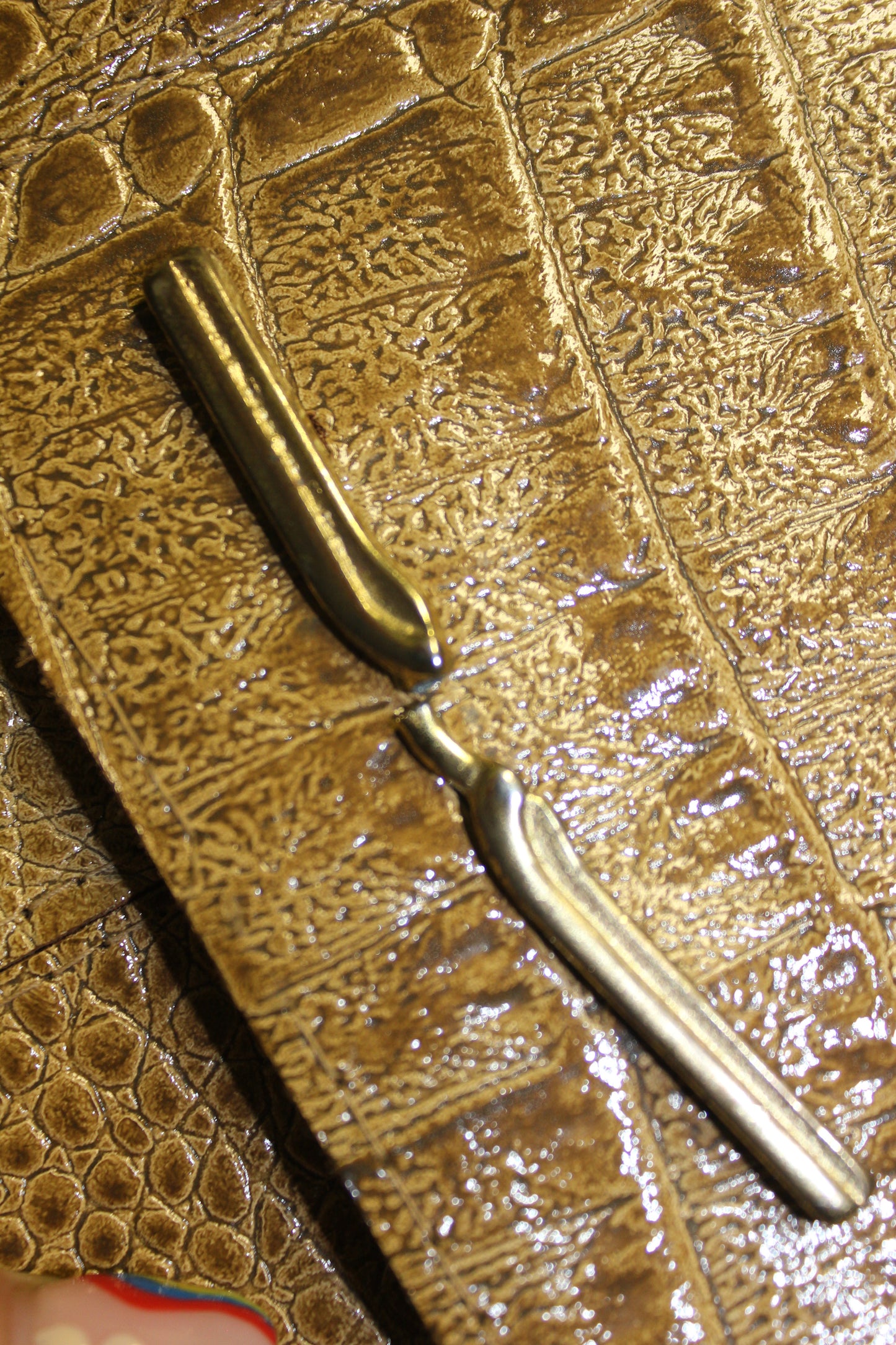 Alligator Leather Bag